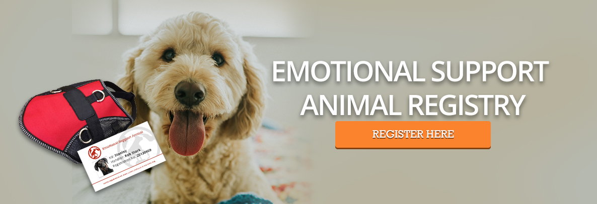 register your dog as an emotional support dog