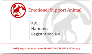 service dog registration papers