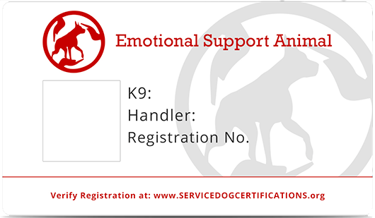 emotional support dog certification