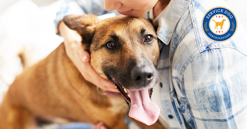 Emotional Support Dog Certification and Registration