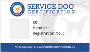 service dog letter for landlords why you don t need one service dog certifications