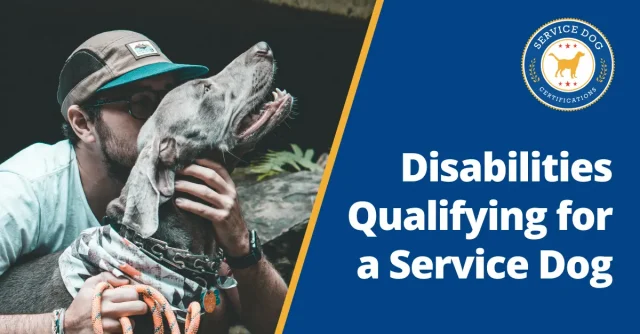 Disabilities that Qualify You for a Service Dog