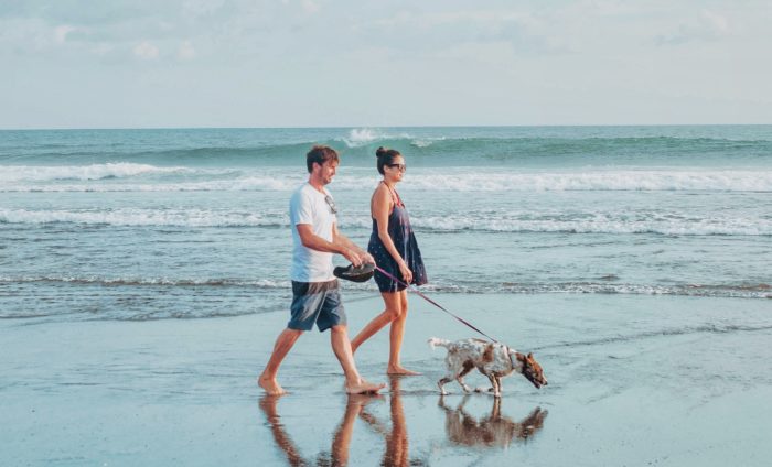 Man and woman walking their service dog on the beach.
