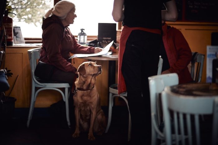 Service dog sitting in a restaurant.