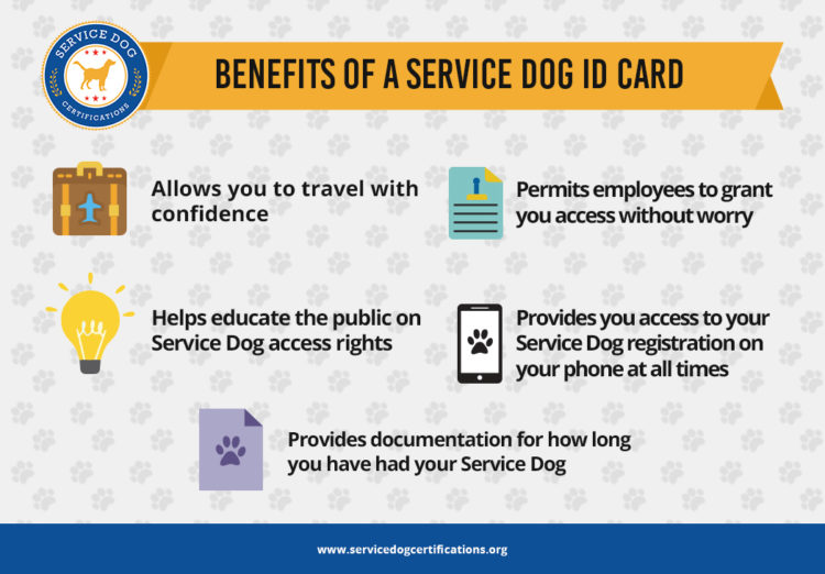 Benefits of a service dog ID card infographic