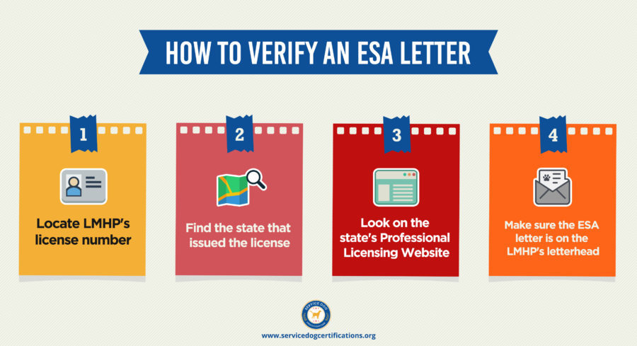How to verify an ESA letter online infographic