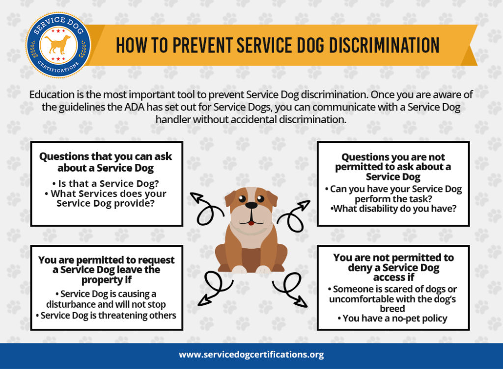 How to Prevent Service Dog Discrimination (Infographic)
