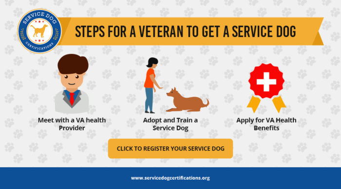 Steps for a veteran to get a service dog infographic.