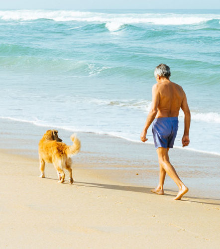 Senior citizen with service dog on beach.