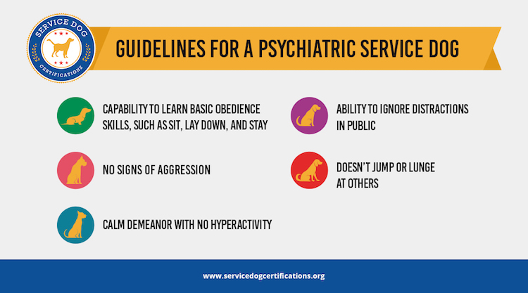 Psychiatric Service Dog Guidelines