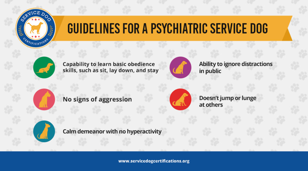 10 Best Psychiatric Service Dog Breeds Service Dog Certifications