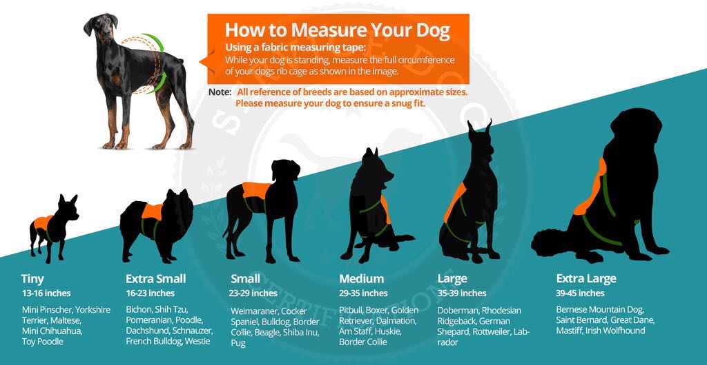 Service dog vest size chart.