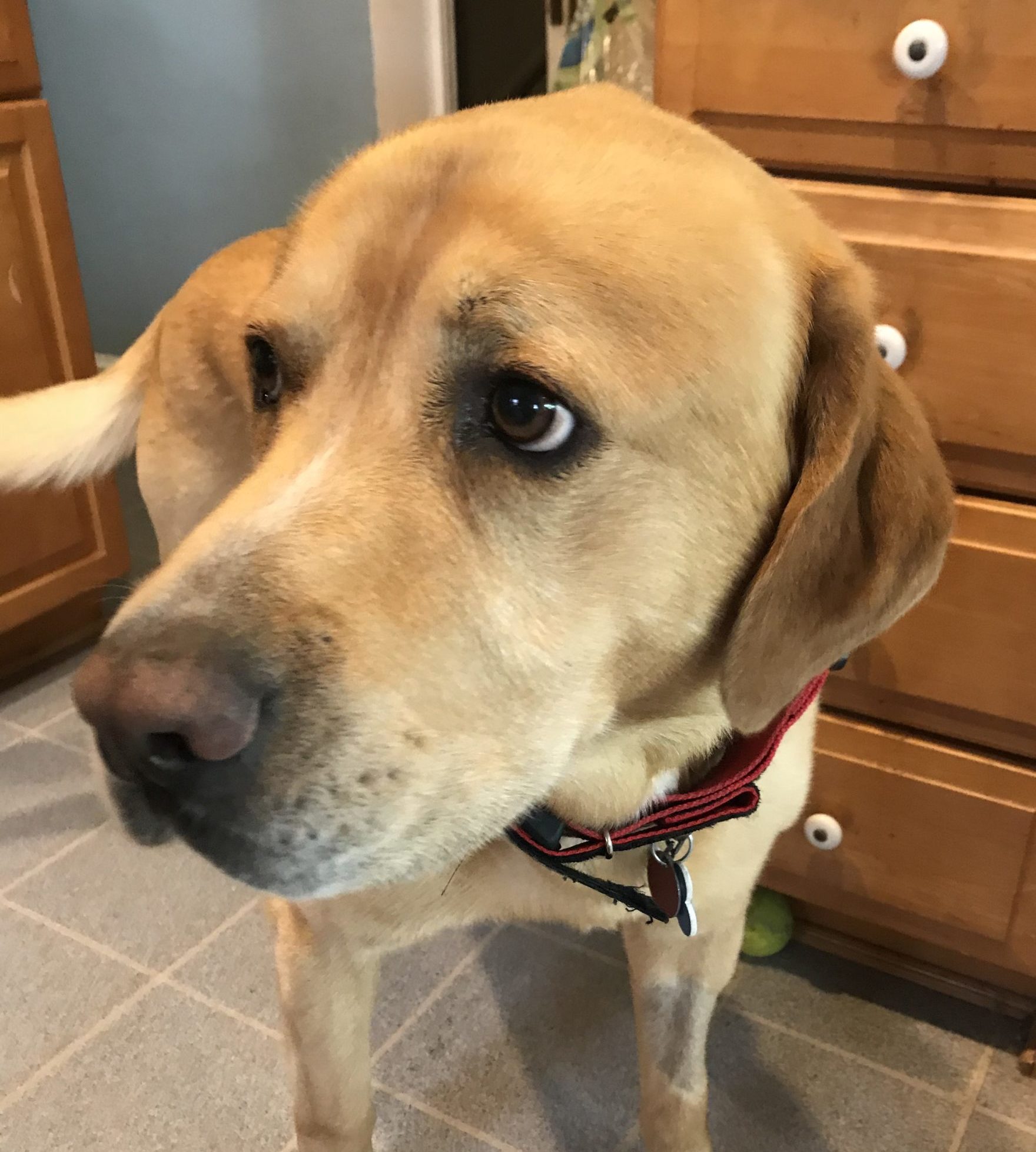 Gunner