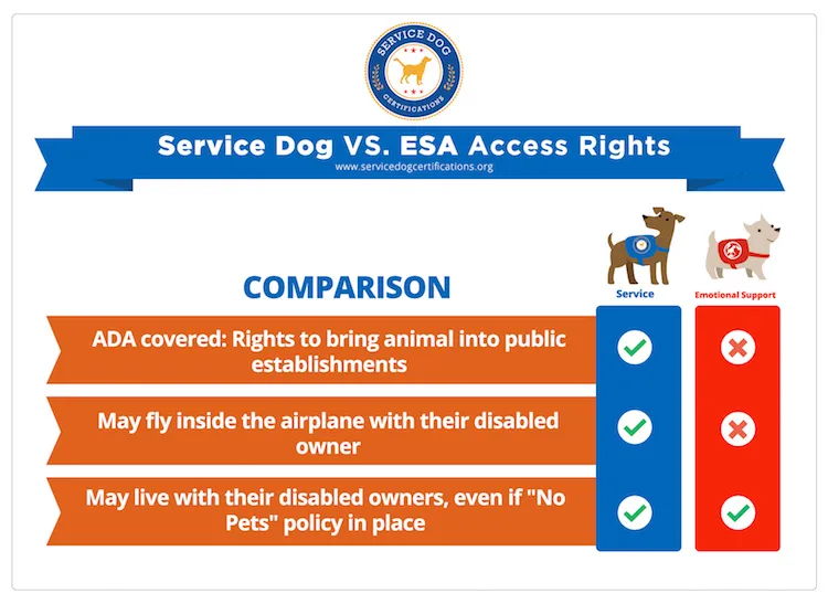 Service Dog vs Emotional Support Animal Access Rights - Infographic