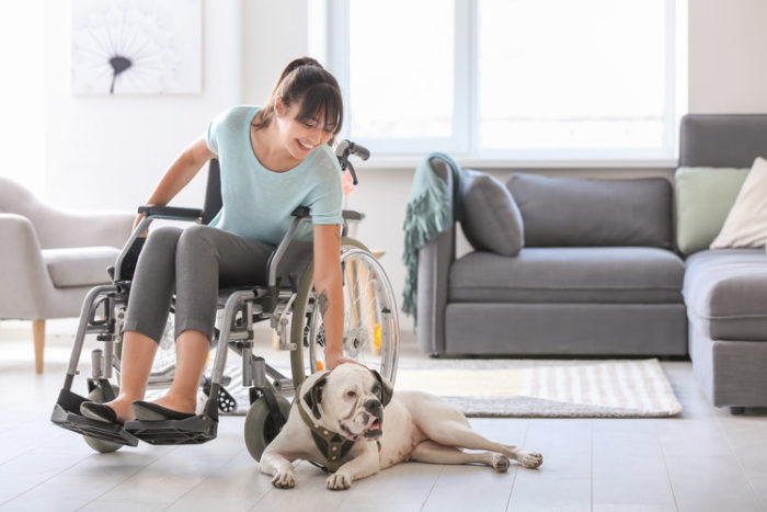 A disabled handler training the service dog