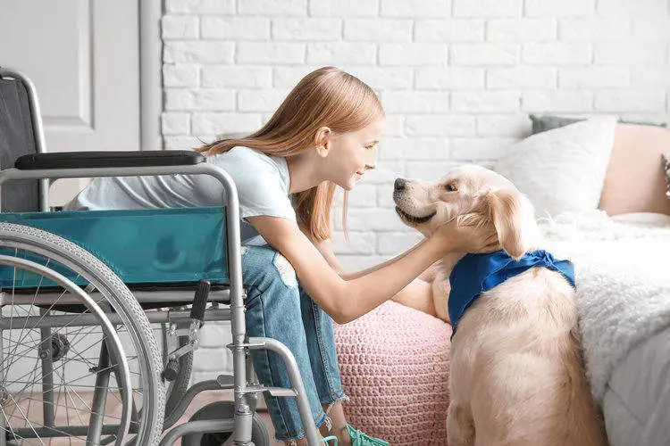 Young girl in a wheelchair with service dog