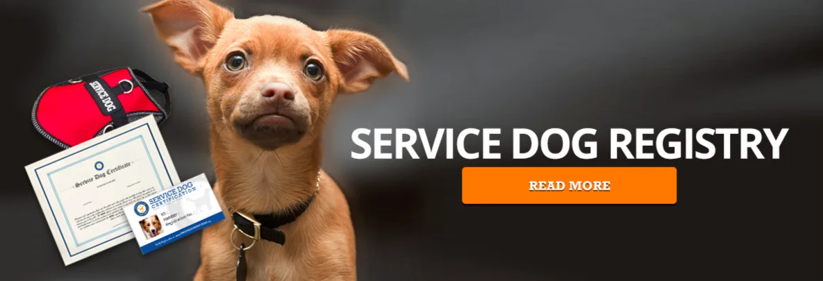 Service dog registration kit