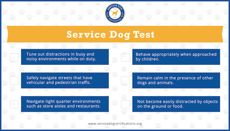 Test your service dog for these skills (Infographic)