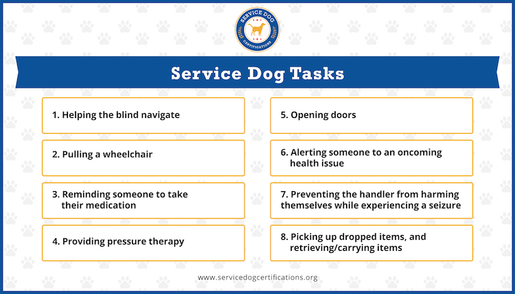 Examples of service dog tasks (infographic).