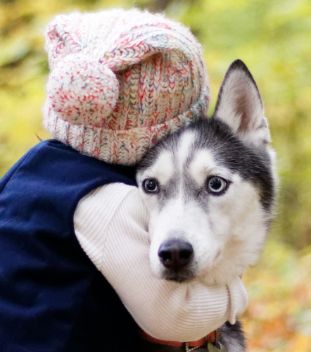 Autism Service Dog comforts child with autism