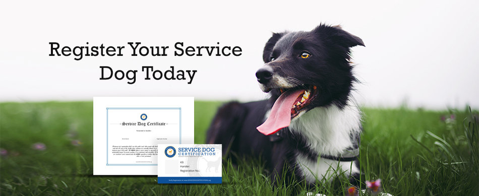 service dog registration requirements banner