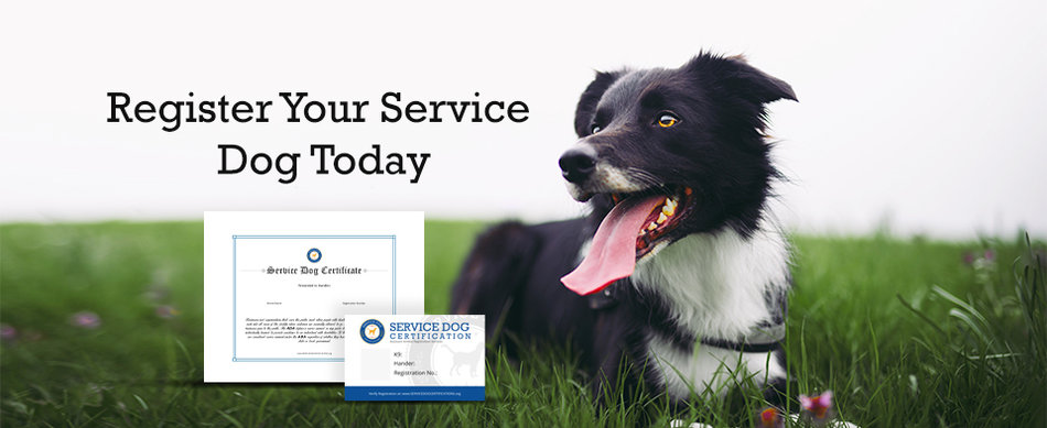 register your service dog for free