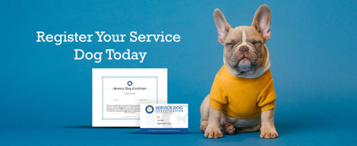 Service dog registration and certification