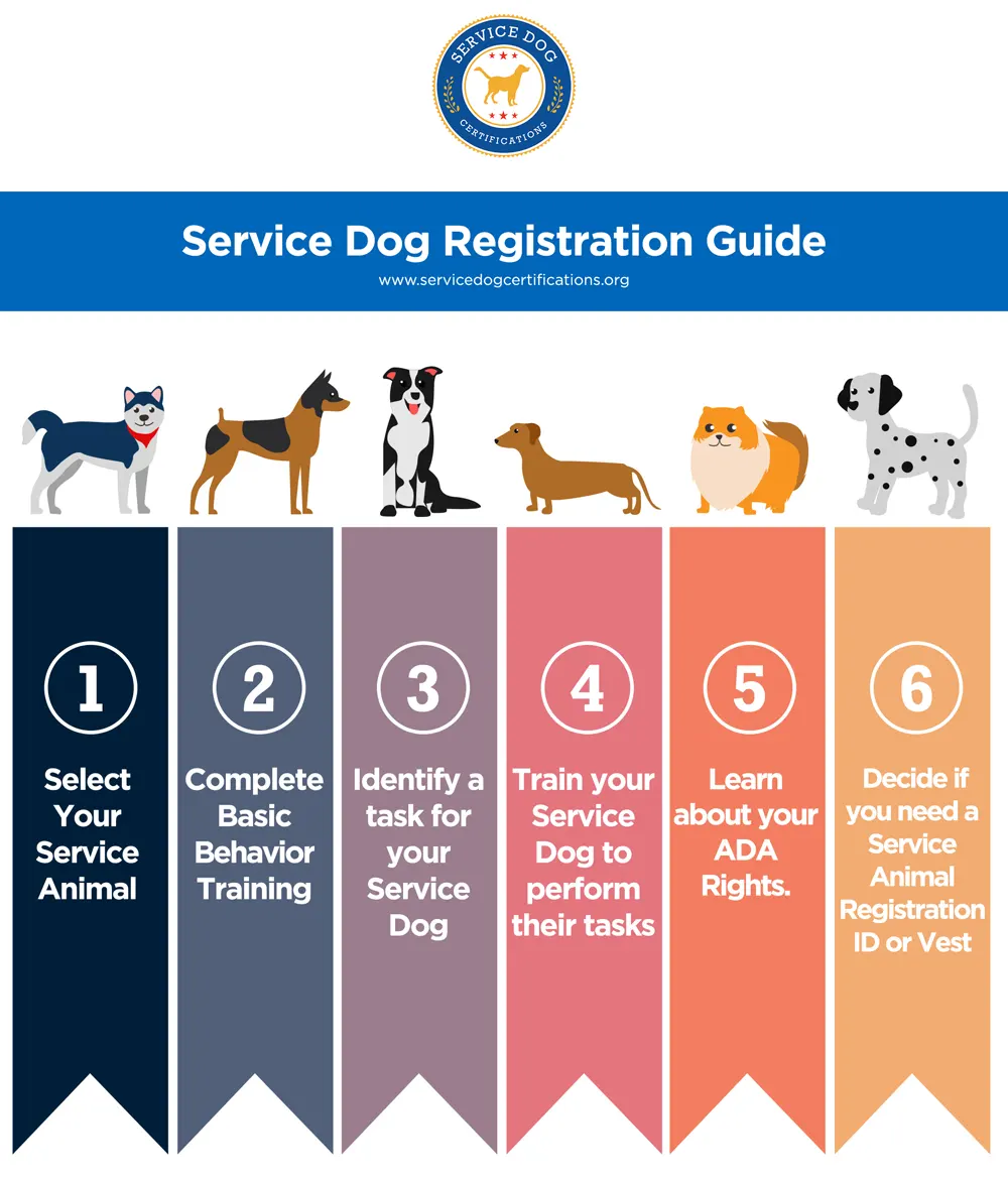 How to get your dog deals service certified