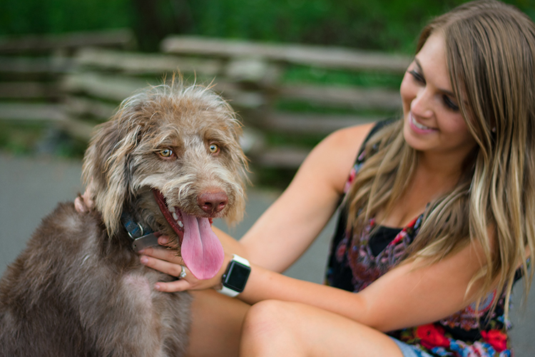 A service dog can be taken to school to continue the assistance to their owner.