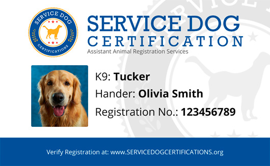 register my service dog