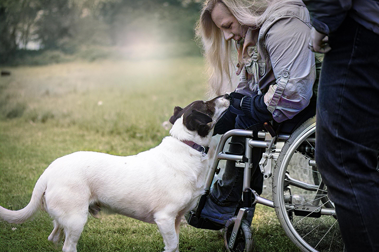 A service dog should focus on their owner's well-being and not be distracted by others.