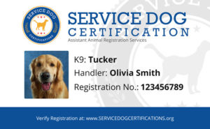 Service dog registration card