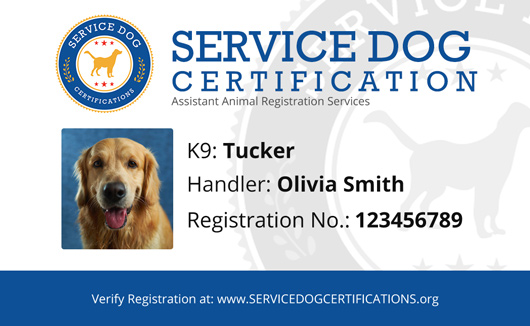 florida-service-dog-requirements