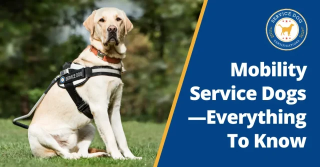 Mobility Service Dogs Guide