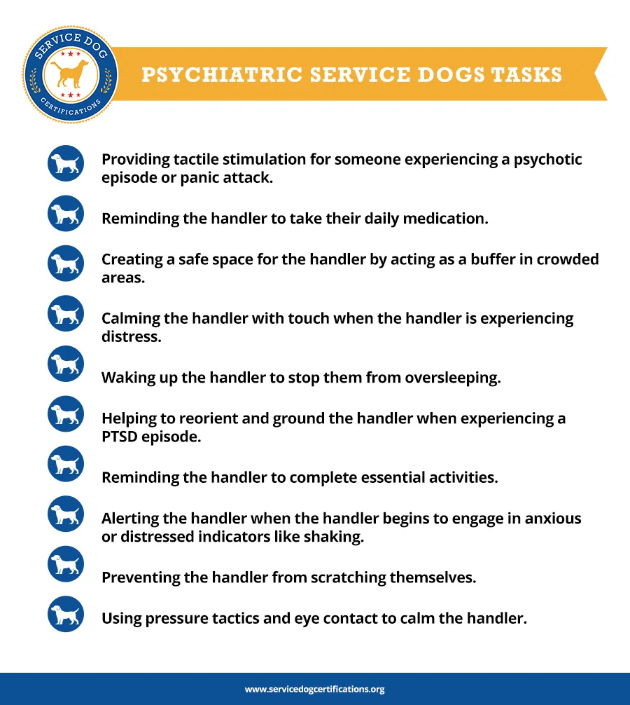 List of psychiatric service dog tasks (examples)