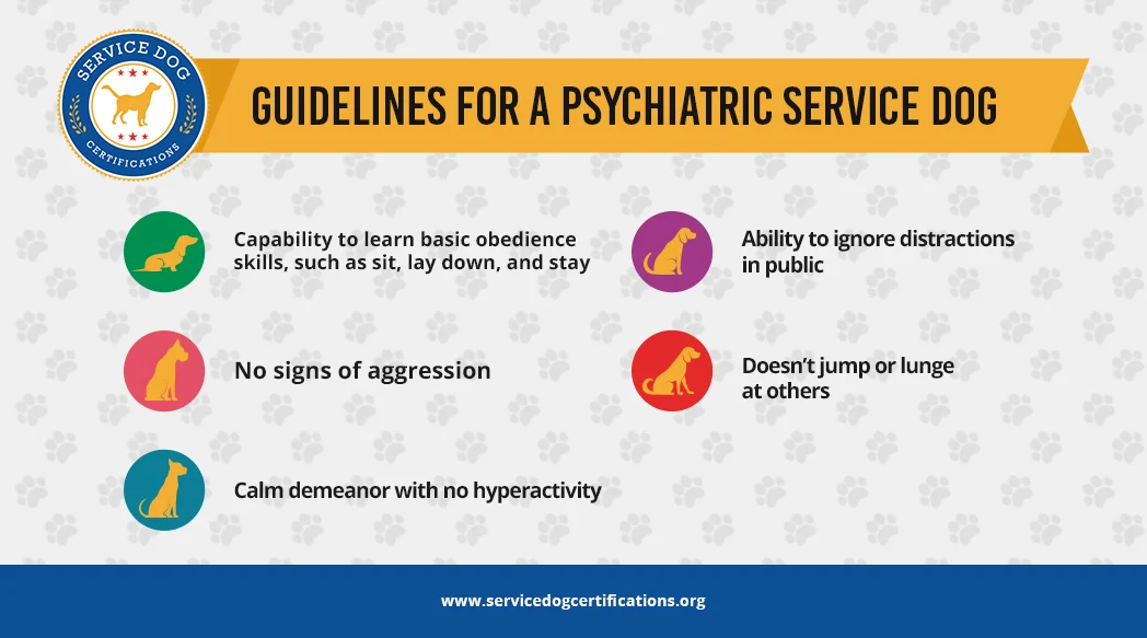 How to Qualify Your ESA as a Psychiatric Service Dog - Service Dog  Certifications