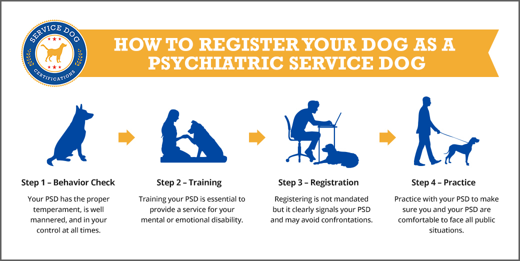 How to Register Your Dog as a Psychiatric Service Dog Service Dog Certifications