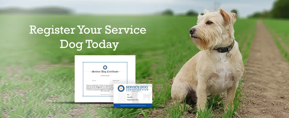 Register Your Service Dog Today - Banner - ServiceDogCertifications