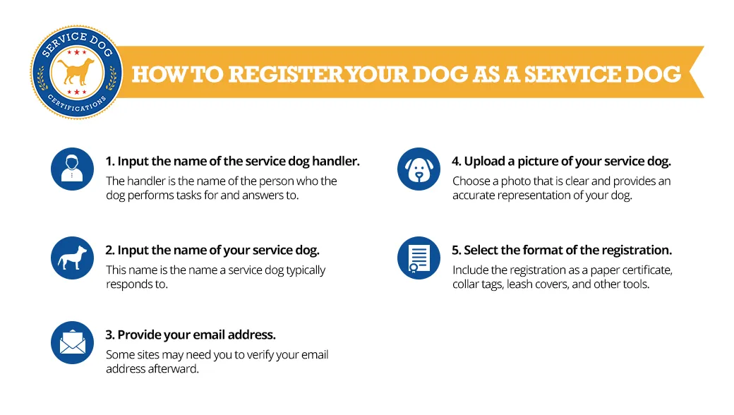 How to register your dog as a service dog (infographic) - Service Dog Registration
