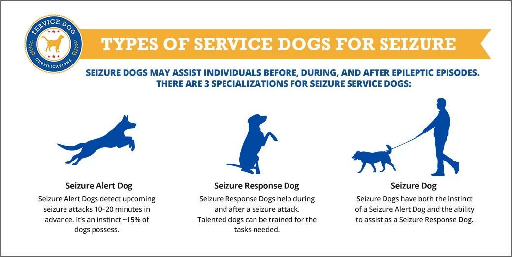 Types of Service Dogs for Seizure - Infographic- ServiceDogCertifications