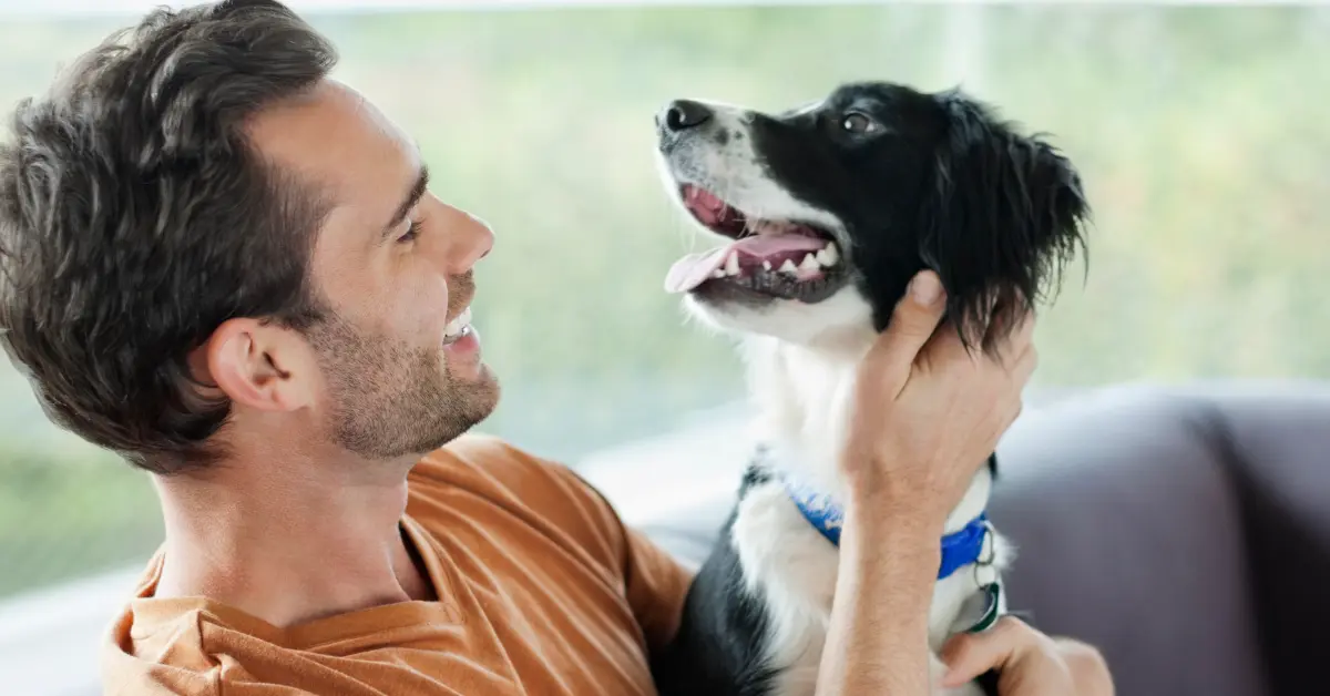 How to Choose a Service Dog Prospect