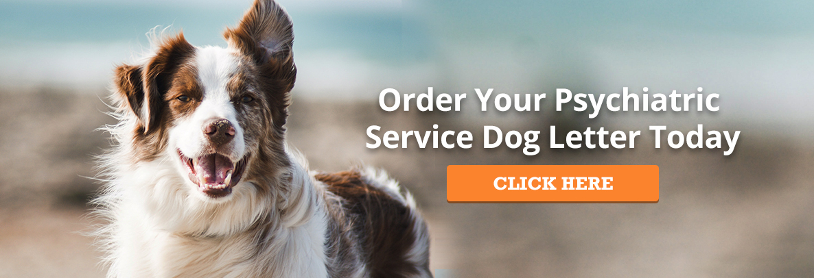 Order your psychiatric service dog letter today - Click here - ServiceDogCertifications