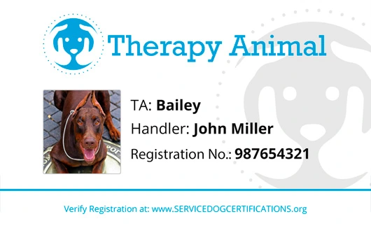 how can i get my dog certified as a therapy dog