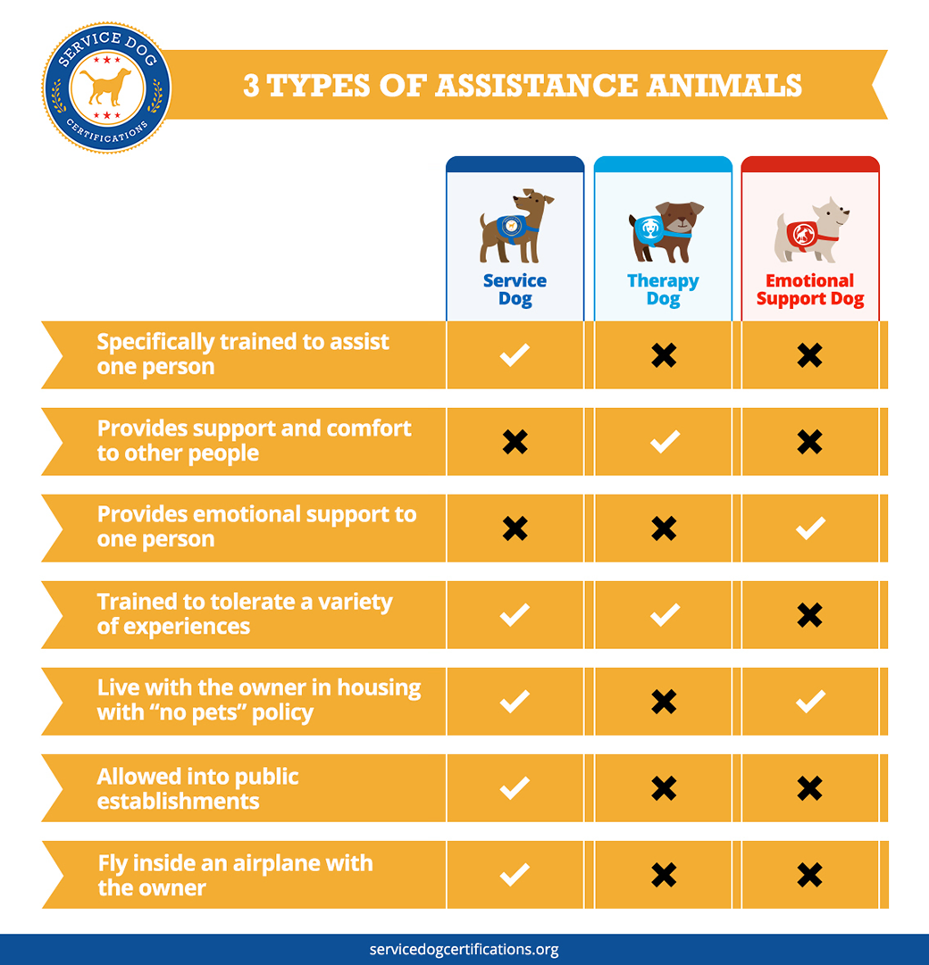 Three Types of Assistance Animals - Comparison Infographic - ServiceDogCertifications