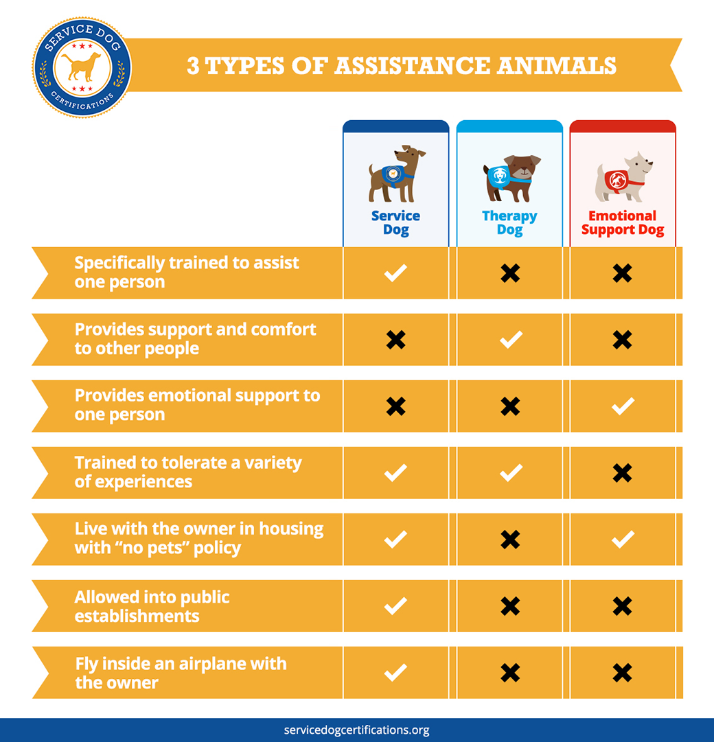 what is the difference between a therapy dog and an emotional support dog