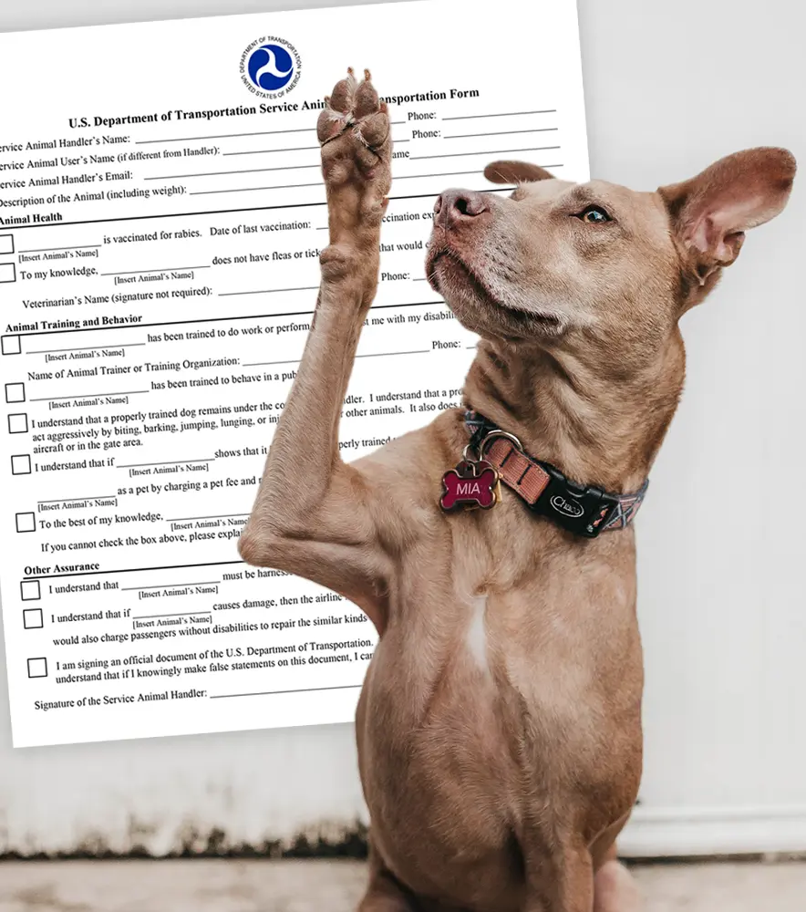 How To Use the Dot's Service Animal Air Transportation Form To Board  Flights - Service Dog Certifications