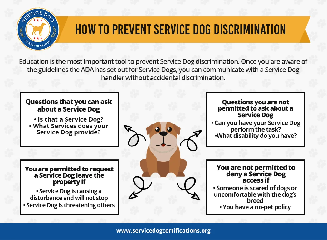 How to Register a Service Dog in California - Service Dog Certifications