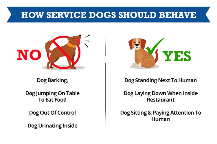 How Service Dogs Should Behave - Infographic - ServiceDogCertifications