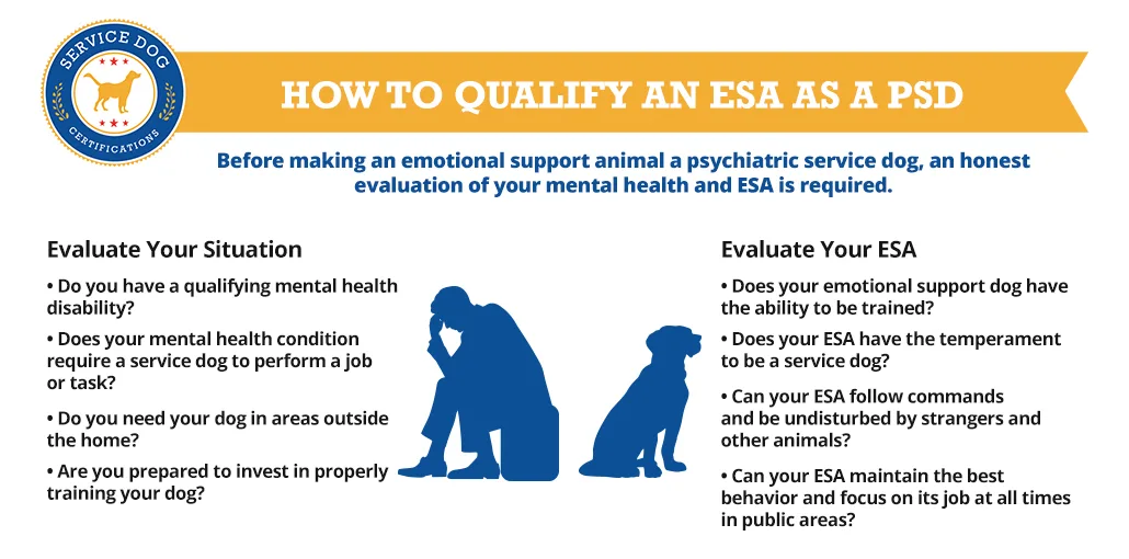 How to qualify an ESA as a PSD - Infographic - ServiceDogCertifications