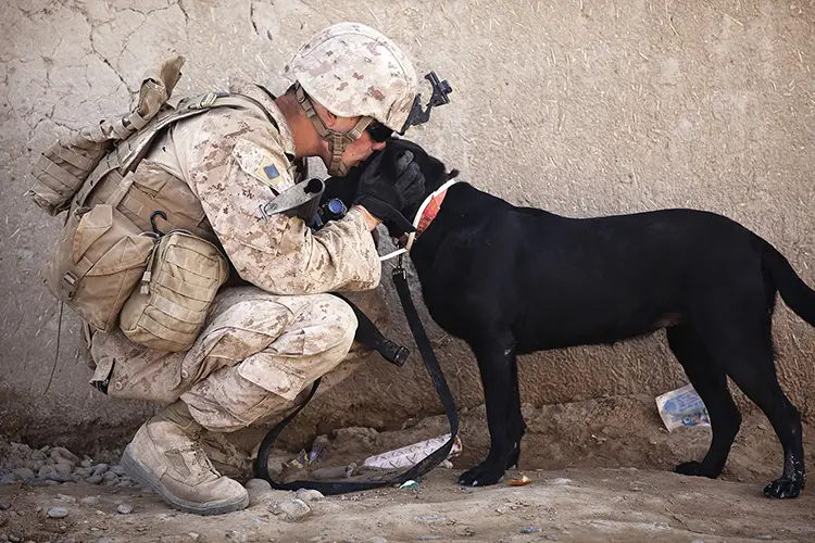 Army veterans with service dog